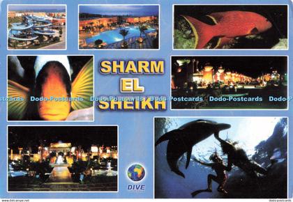 D242151 Sharm el Sheikh Dive the Red Sea Multi View