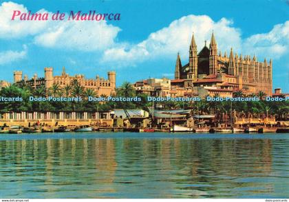 D242535 Palma de Mallorca Palma La Catedral y La Lonja Ediciones Palma Foto Plan