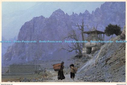 D250265 Near Braga Mustang Series Mani Lama