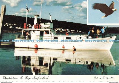 D250553 Charlottetown B Bay Newfoundland Tooton Limited L Spracklin