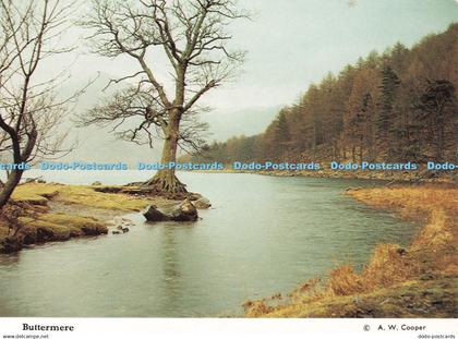 D251679 Buttermere A W Cooper