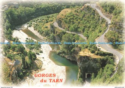 D253135 Gorges du Tarn Bos 2004