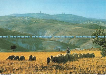 D253568 View Towards Jerusalem From the Judean Wilderness Palphot