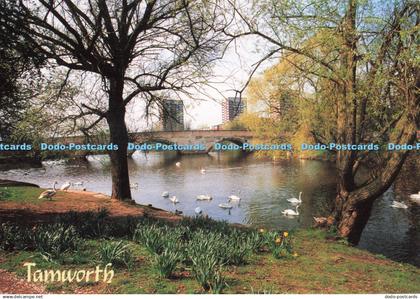 D253852 Tamworth Judges C 13737