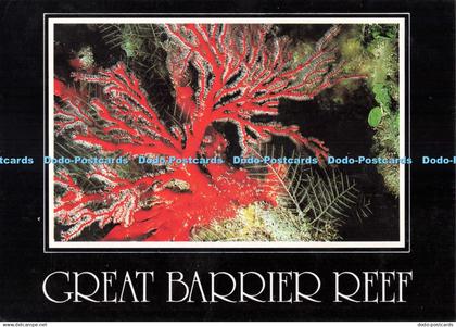 D255339 Great Barrier Reef Peer Ron and Valerie Taylor 1991