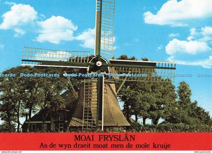 D256485 Moai Fryslan Meulen Sneek