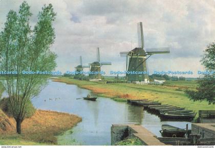 D258158 The 3 Polder Mills Near Leidschendam Carre and Ter Braake