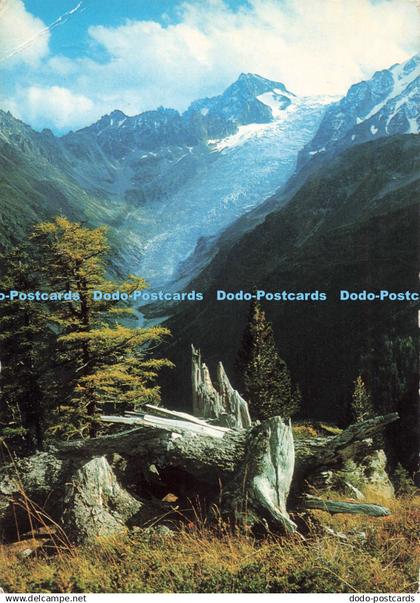 D258785 Glacier du Trient Et Pointe d Orny Darbellay