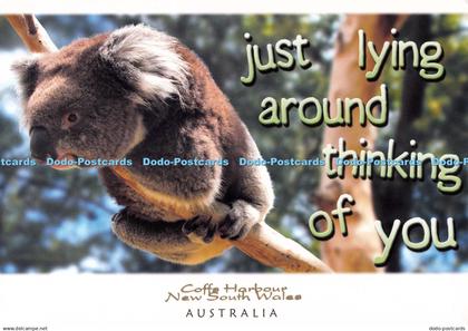 D260025 Australia Coffs Harbour New South Wales Murray Views Hanjo Smith