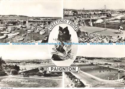 D265456 Greetings from Paignton A View of Paignton Paignton Green and Pier Thund