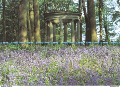 D266220 Derbyshire Renishaw Hall The Wilderness The Classical Temple Sitwell Col