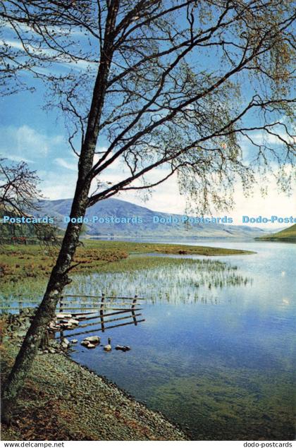 D271331 Selkirkshire St Mary Loch J Arthur Dixon