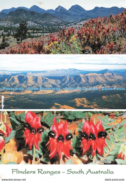 D271512 South Australia Flinders Ranges Visit Gallery Multi View