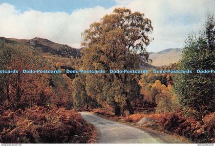 D272563 Inverness Shire Glen Cannich J Arthur Dixon Ltd