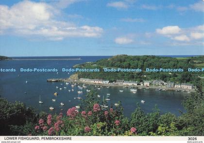D273223 Pembrokeshire Lower Fishguard Pembrokeshire Eye Postcards 1994