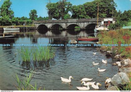 D273536 Co Leitrim The River Shannon at Jamestown