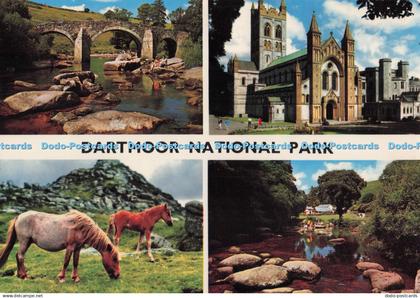 D273945 Dartmoor National Park Buckfast Abbey Dartmoor Ponies Badgers Holt John