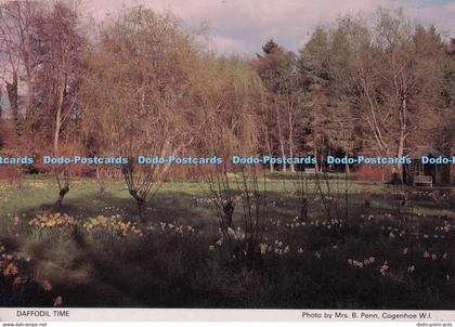 D274778 Daffodil Time Northamptonshire Federation of Women Institutes Judges Pos