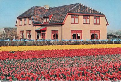 D274818 Hotel Pension De Instuif Eig P Zonneveld R De Vries