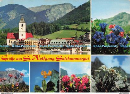 D276604 Grusse aus St Wolfgang Salzkammergut Sommerfrische St Wolfgang Montana M