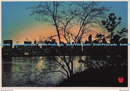 D277505 New York City Manhattan Post Card Apple Prints Manhattan 1984
