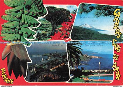 D287281 Tenerife Canarias Islas de Amor Santa Cruz Euroafricana De Canarias Mult