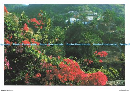 D287314 Vallehermoso La Gomera Andy