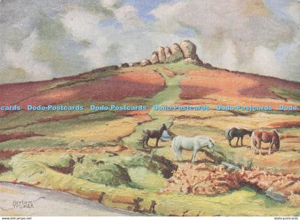 D289965 Dartmoor. Haytor and Dartmoor Ponies. E. A. Sweetman. Tunbridge Wells. H