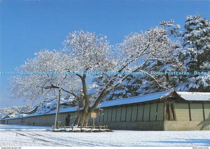D291047 Kyoto. Kyoto Imperial Palace