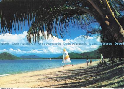 D291904 Palm Cove Beach. Peer Production