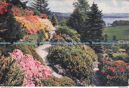 D300403 Windermere Westmorland A Glimpse of Windermere From a Westmorland Rock G