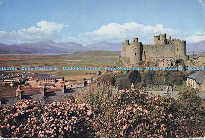 D300481 Merionethshire Harlech Castle J Arthur Dixon Newport I W England