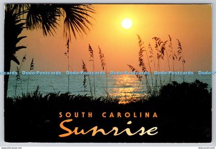 D302211 South Carolina Sunrise Brandon Sales Co Michael Slear