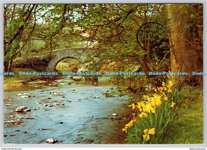 D303822 Devon Malmsmead Doone Valley J Arthur Dixon DRG Dickinson Robinson Group