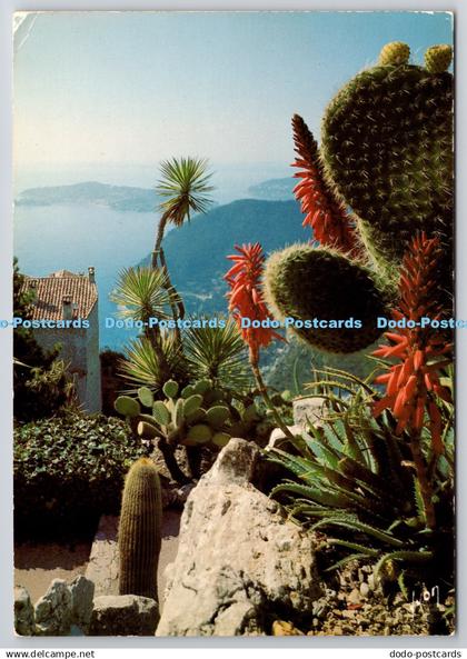 D307250 Eze Village Alpes Maritimes Jardin Exotique Saint Jean Cap Ferrat Yvon S
