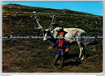 D310151 Norway Lapp Boy with a Rein Deer Knut Aune