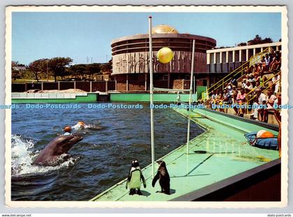 D311426 Port Elizabeth Oceanarium Arthur English Prints