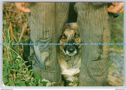 D314270 Riche de mes seuls yeux tranquilles. Paul Verlaine. Photo Francis Debais