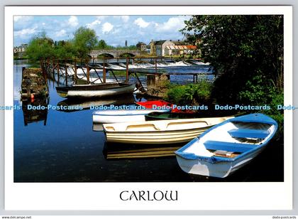 D324161 Carlow. Peter O Toole. John Hinde Ltd. Ireland