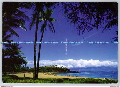 D327847 Beach with palm trees. Postcard