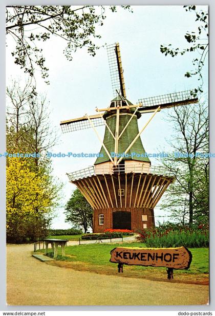 D329008 Holland. Keukenhof Lisse. L. Blok. Planeta. Harlem. Postcard