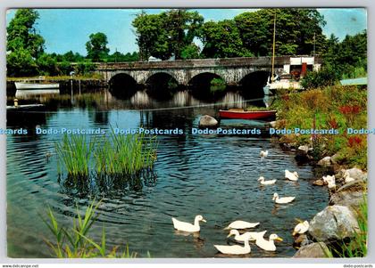 D332912 Co. Leitrim. The River Shannon at Jamestown. Situated on a Loop of the R