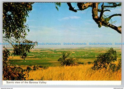 D333668 Scenic View of The Barossa Valley. National View. Murfett