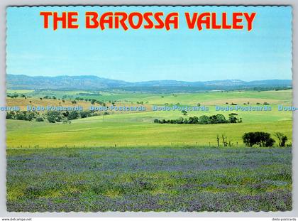 D334485 The Barossa Valley. South Australia. True View. An Eye Ci in See