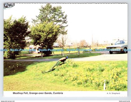 D334632 Cumbria. Grange Over Sands. Meathop Fell. The Caravan Club Site at Meath