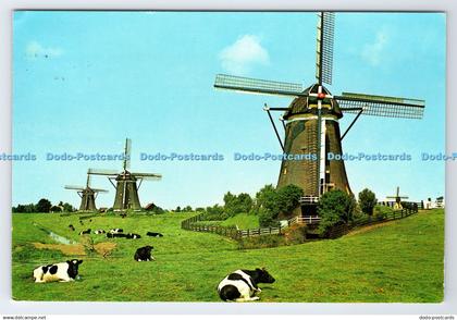D335558 Holland. Leidschendam. Hamlet of Wilsveen. Undermill of the Stepwise Dra