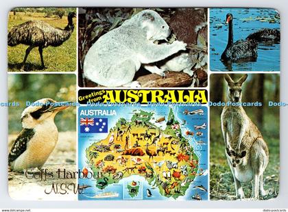 D335613 Greetings From Australia. Coffs Harbour N. S. W. Koala. Murray Views. Mu