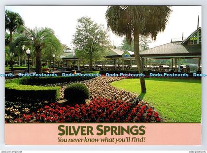 D339022 Silver Springs. Gardens at Glass Bottom Boats. Impact. Larry Mulvehill