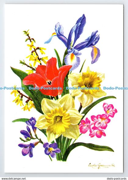 D339575 Spring Flowers. Leslie Greenwood. The Medici Society. London