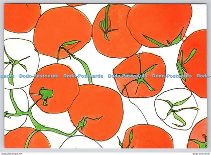 L360249 Tomato Lucie Sheridan Bristol